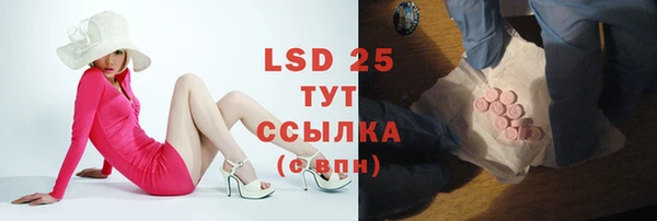 МДПВ Липки