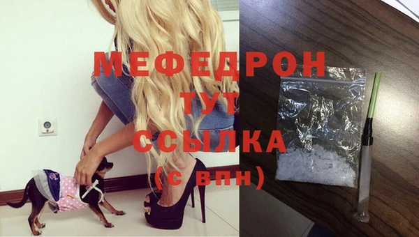 МДПВ Липки