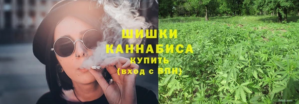МДПВ Липки
