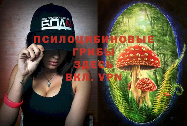 МДПВ Липки