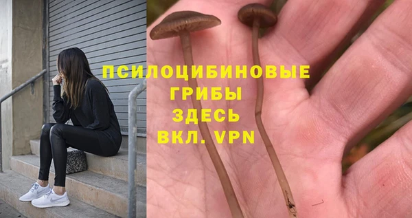 МДПВ Липки