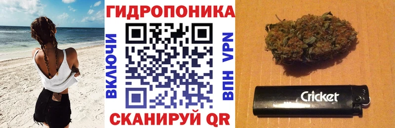 Каннабис ГИДРОПОН  Жуков 